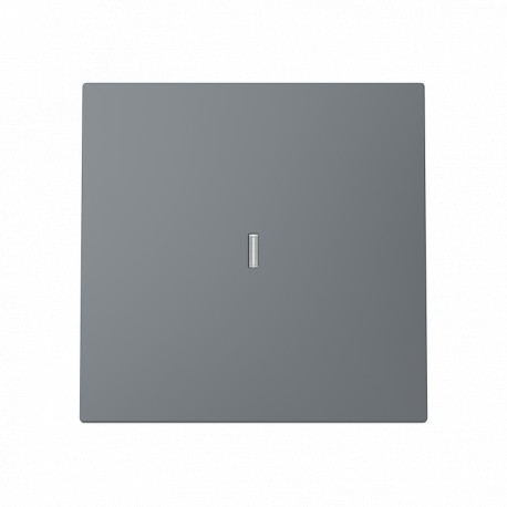 NIESSEN 2CLA890139A1801 2CLA890139A1801 8901.39 GR NIESSEN Tecla interrupt con visor + marco 1V GR